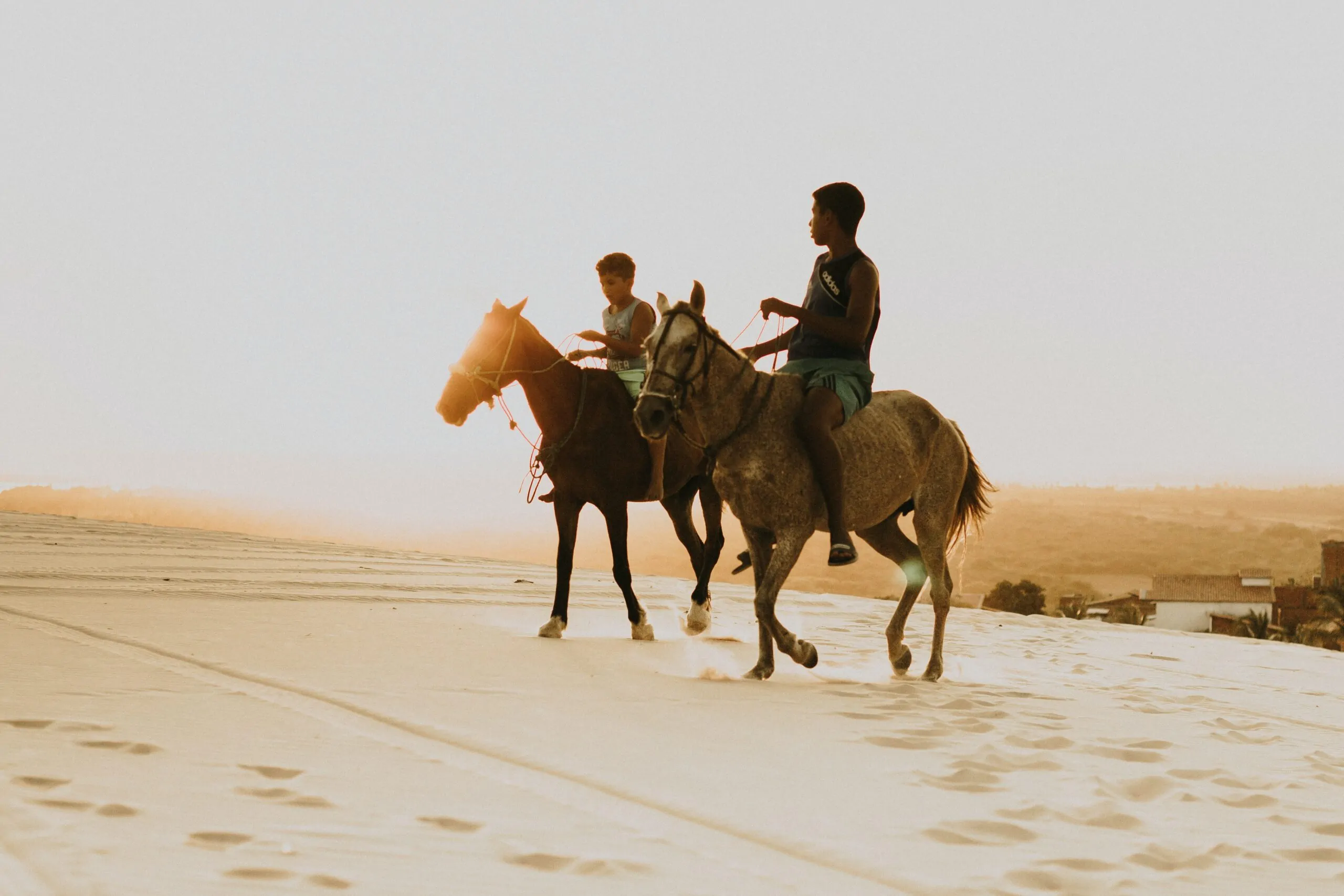 Horse Riding Hurghada Daily Tours
