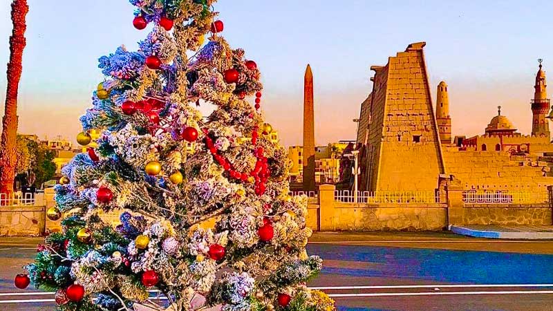 Celebrate Christmas in Egypt